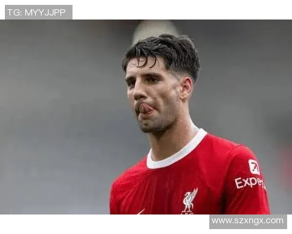 索博斯洛伊的魅力探秘与历史文化深度解析之旅